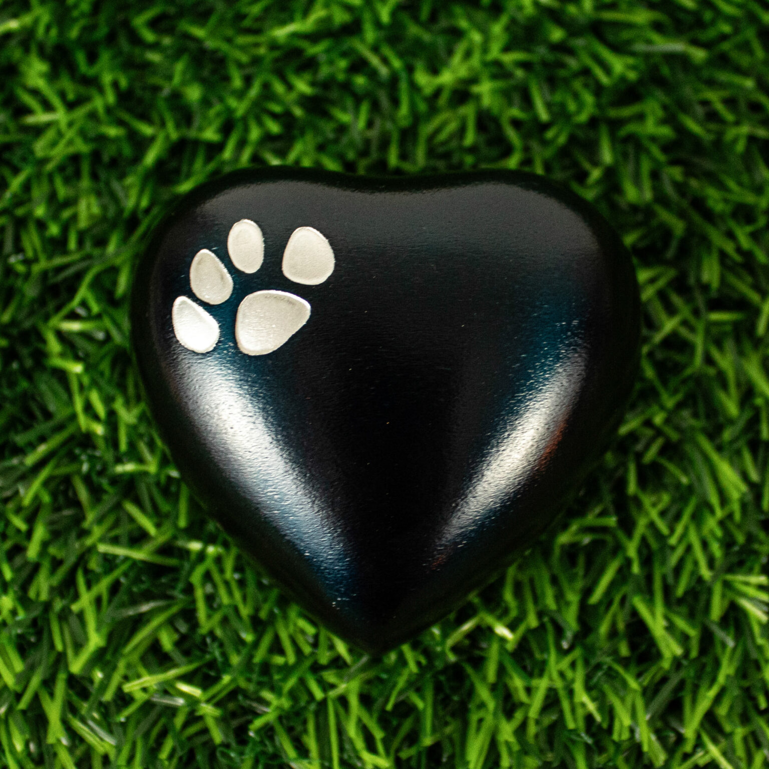 LB_Keepsake_Classic-Paws-Blue-2