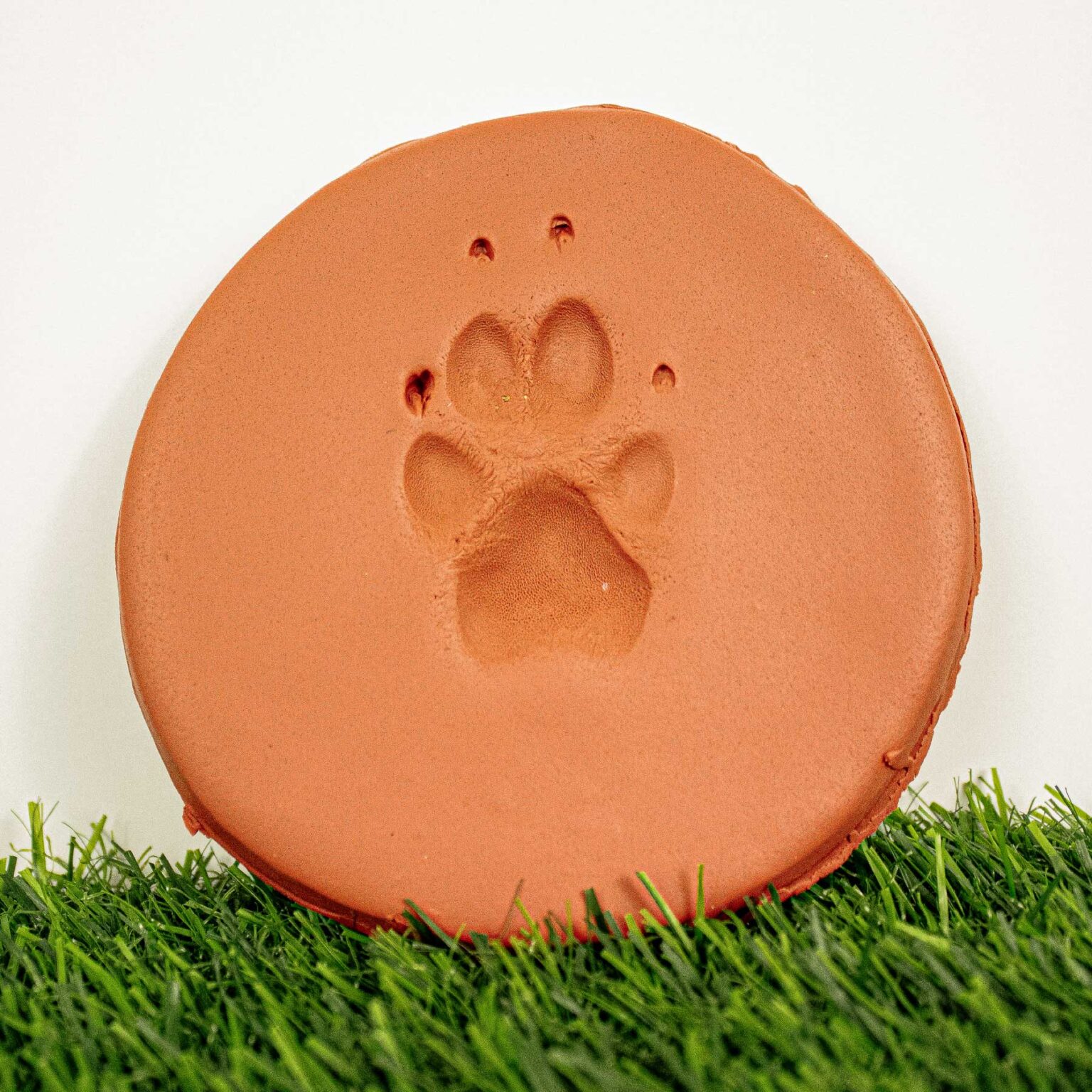 LB_Clay-Paw-Print-2