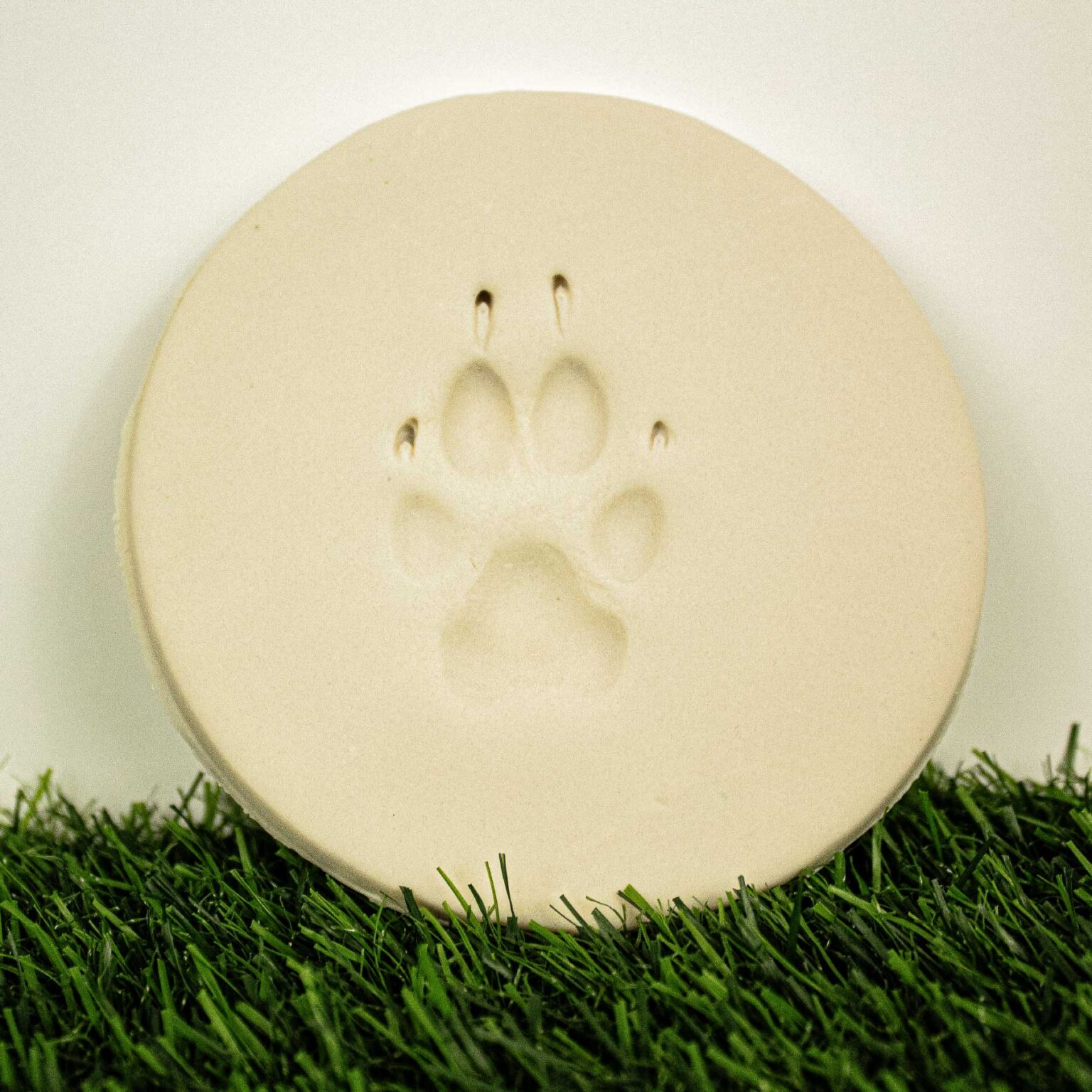 LB_Clay-Paw-Print-4