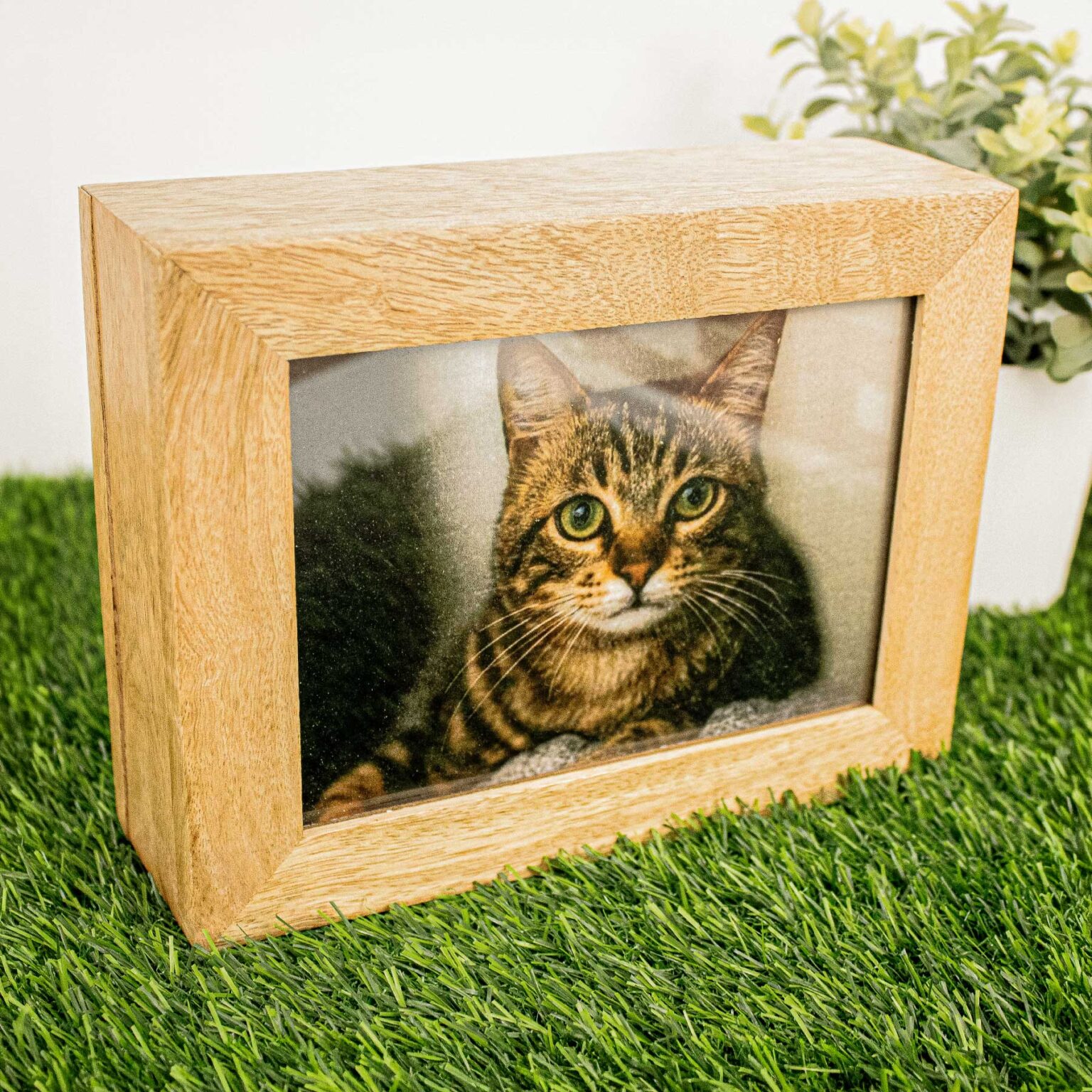 LB_Mango-Wood-Photo-1