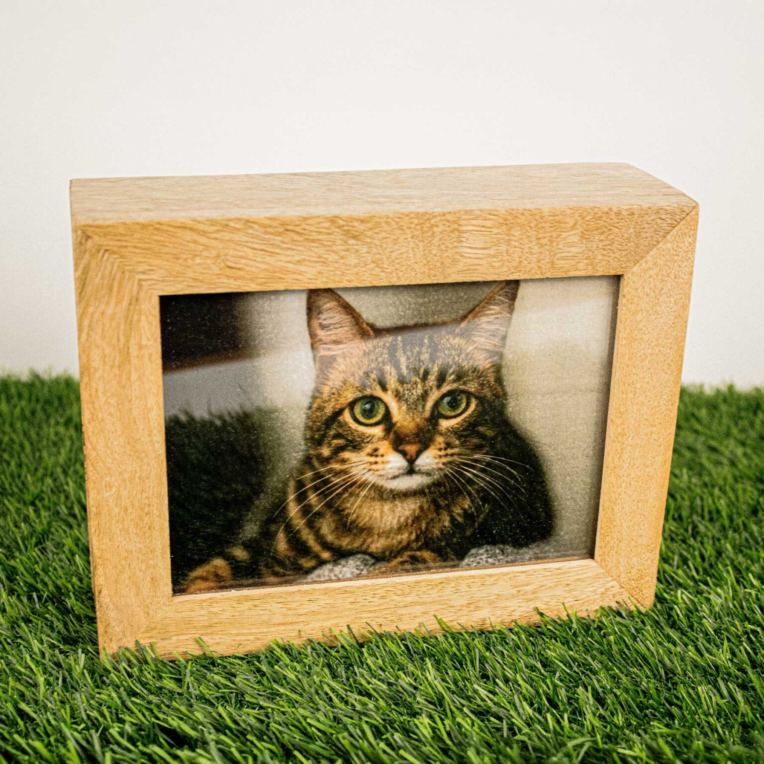 LB_Mango-Wood-Photo-2