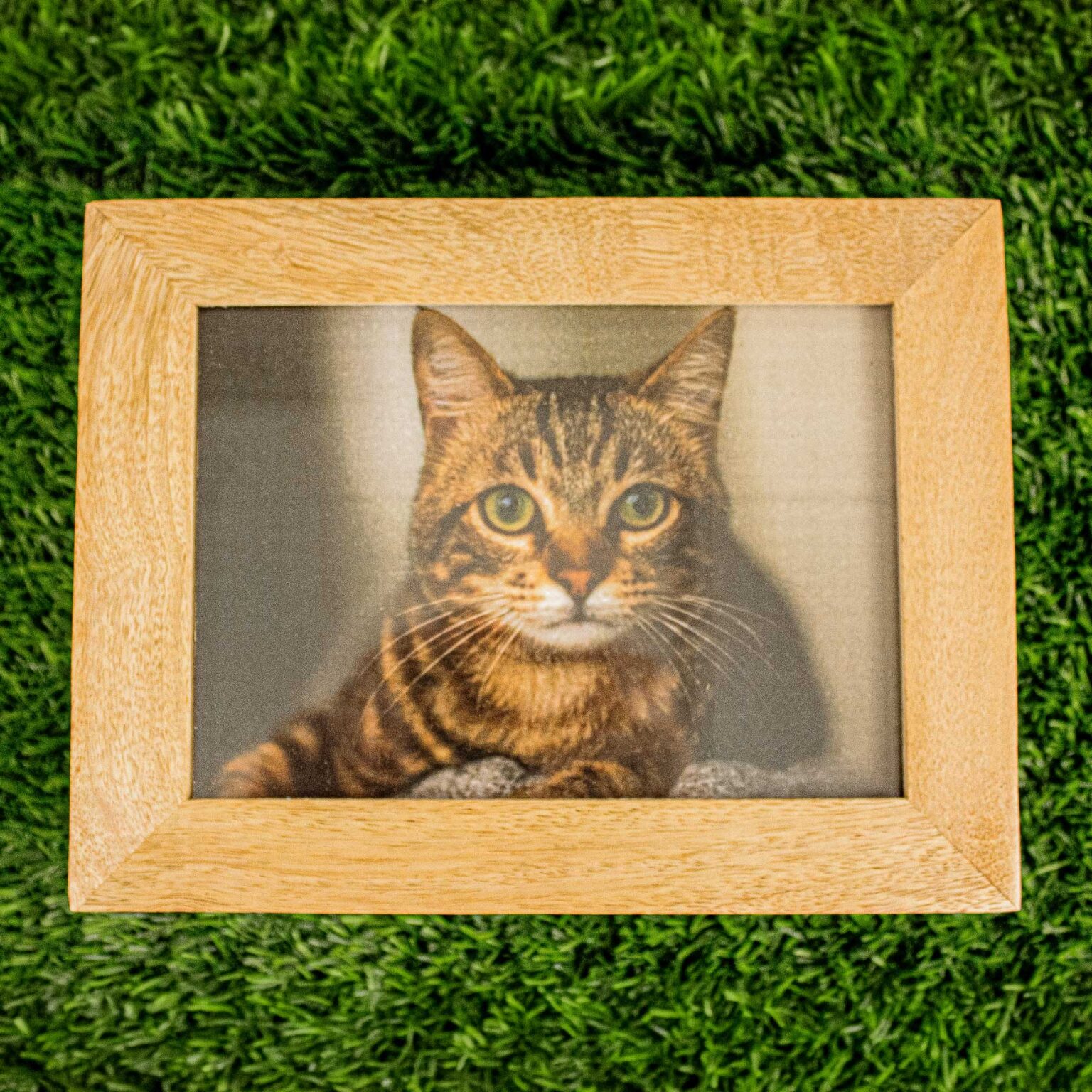 LB_Mango-Wood-Photo-3